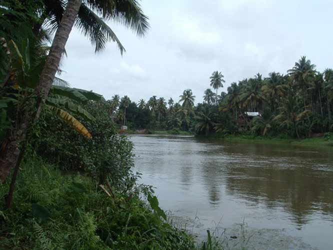 Karuvannurriver