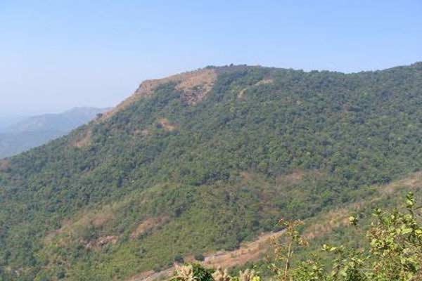 Nelliyampathy_HillStation