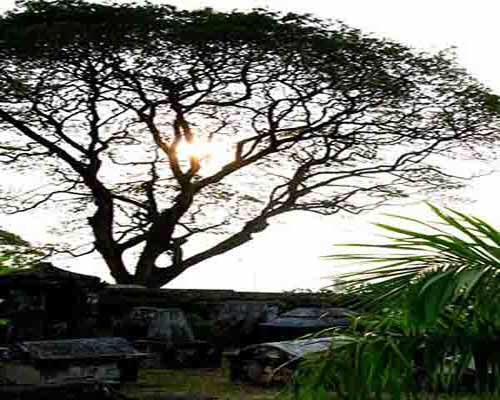 Dutch_Cemetery