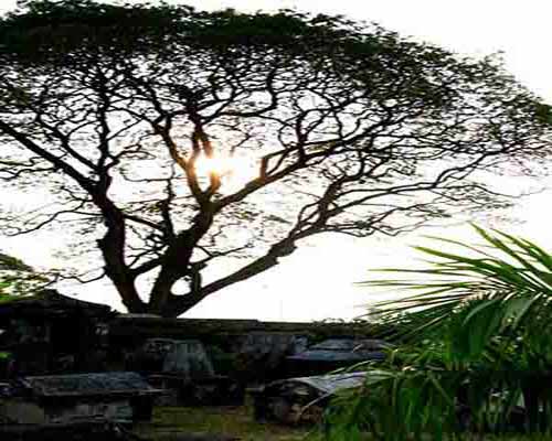 Dutch_Cemetery