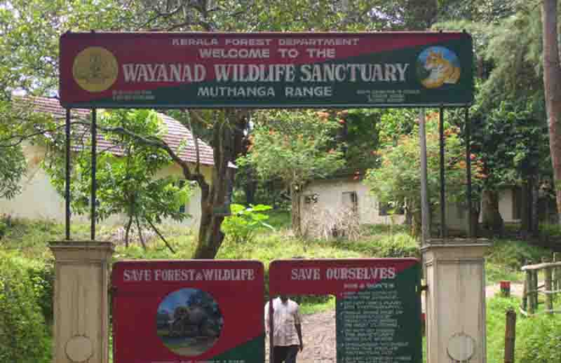 WayanadWildlife